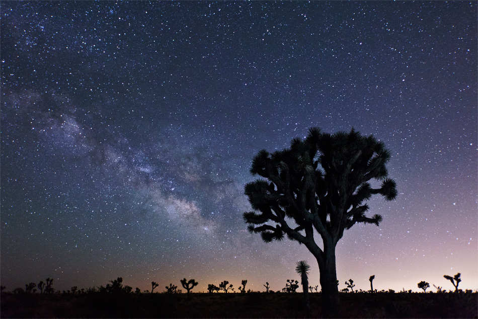 Meteor Shower and Timelapse Workshop in Joshua Tree